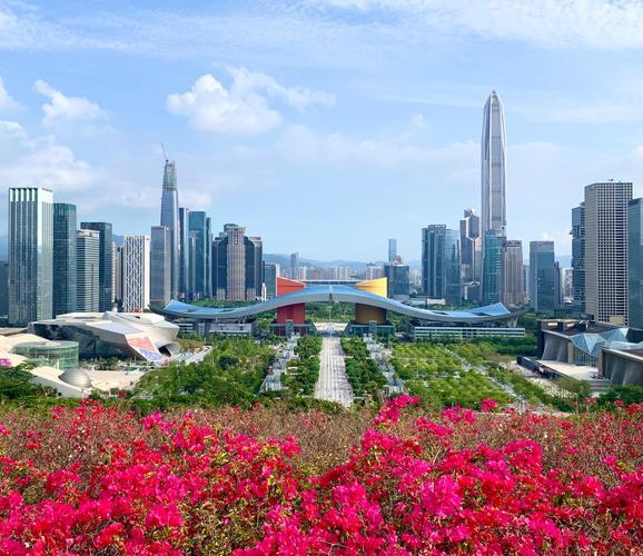 Lianhua Mountain Park - City panorama in Shenzhen